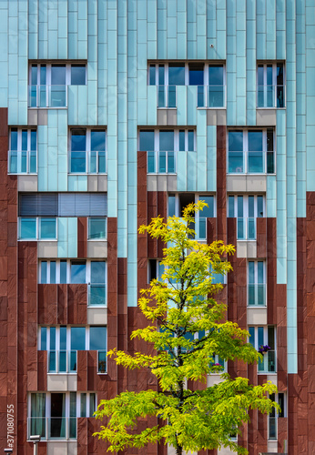 A colourful apartment building with a beautiful green tree in front