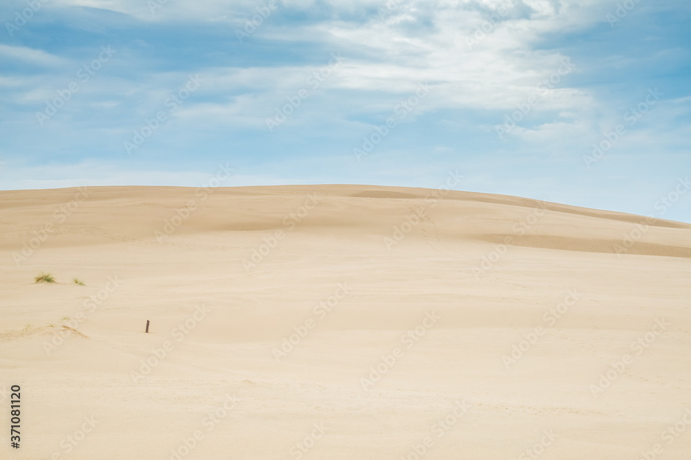 Dunes of Leba in the desert of Slowinski National Park, Poland Dunes of Leba in the desert of Slowinski National Park, Poland