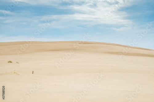 Dunes of Leba in the desert of Slowinski National Park  Poland