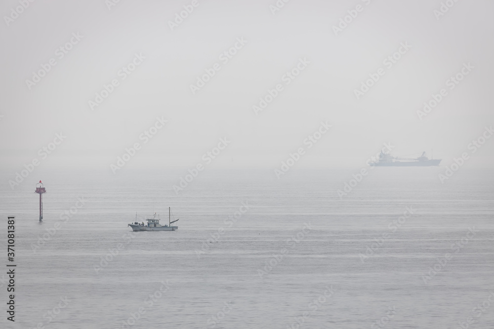 Bay Fog Bay Fog