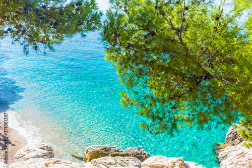 Fototapeta Naklejka Na Ścianę i Meble -  Tree framing the beautiful Jagodna Beach, Hvar Island, Croatia