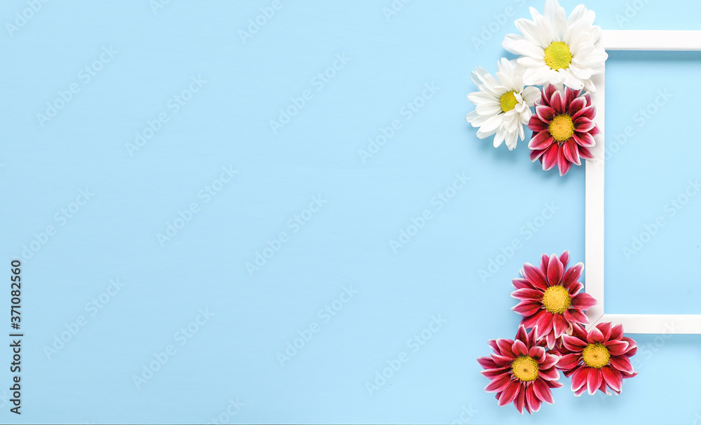 square white frame with white and red flowers on blue background. View top. Messege or invitation card, nature concept. flower layut. copy space for text square white frame with white and red flowers on blue background. View top. Messege or invitation card, nature concept. flower layut. copy space for text