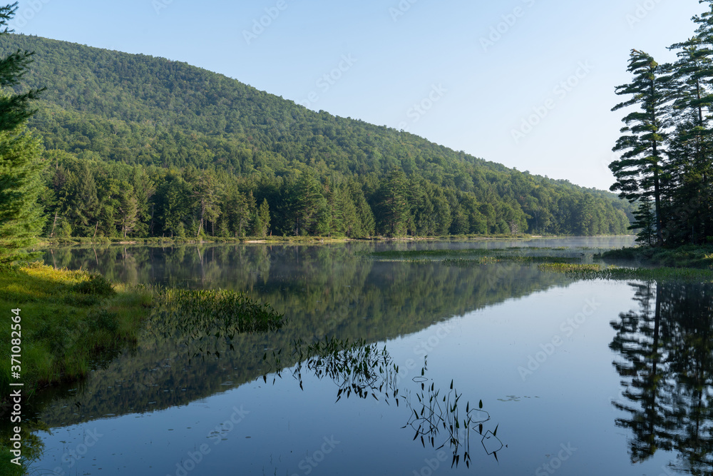 Early morning mountain lake with reflection of mountain.  water plants in the foreground with the photo frames with pines trees and their reflections on the both right and left.