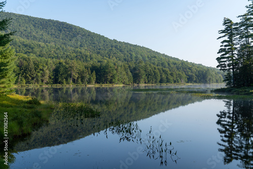Early morning mountain lake with reflection of mountain.  water plants in the foreground with the photo frames with pines trees and their reflections on the both right and left.