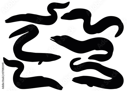 Fish eel in the set.