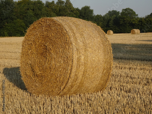Heu Ernte Ballen
