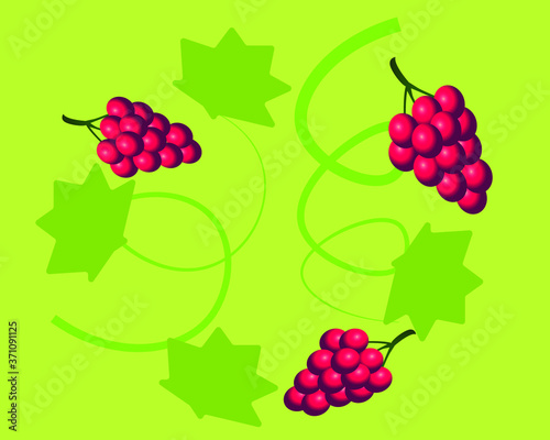 Ilustración Racimo de Uvas Con Hojas de Fondo Vector  