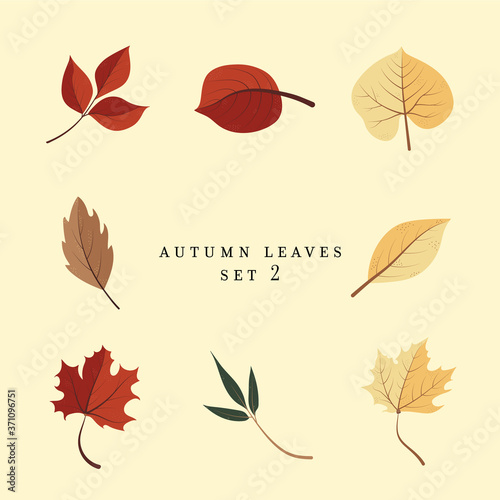 Autumn leaves set 2