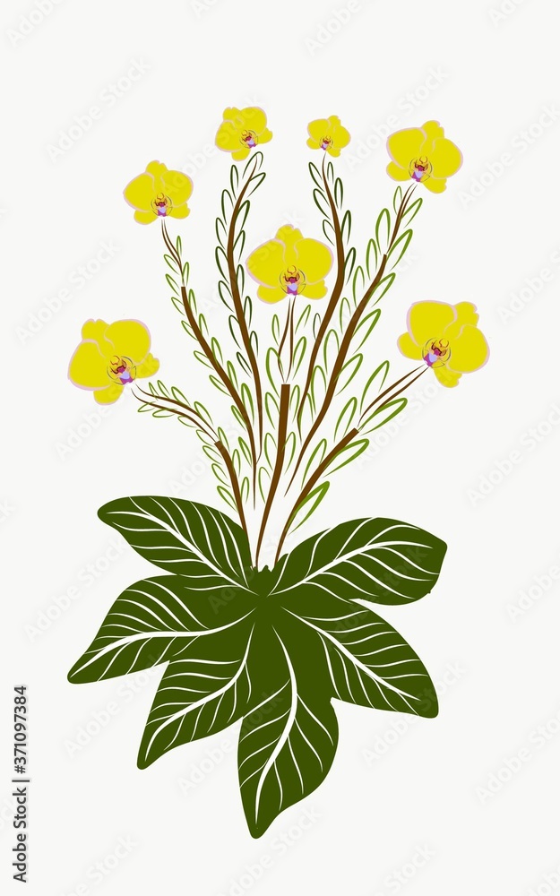 Obraz bouquet of yellow flowers