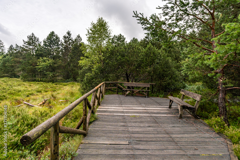 Obraz premium Nature reserve Wilhelmsdorf Pfrunger Ried in Upper Swabia
