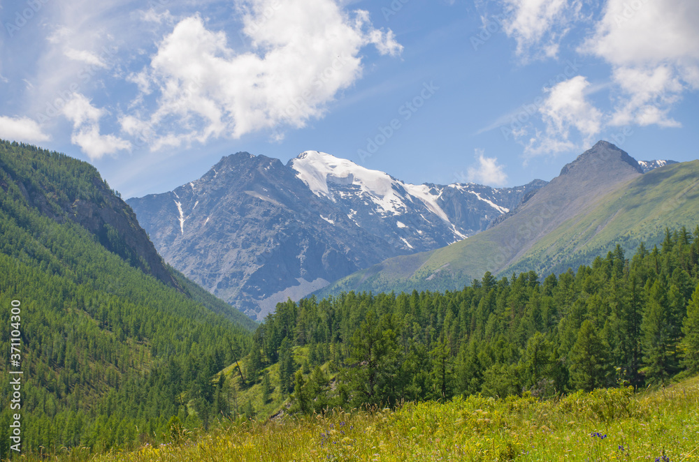 landscape beautiful snow top of Mount Altai with meadow grass and flowers
landscape beautiful snow top of Mount Altai with meadow grass and flowers