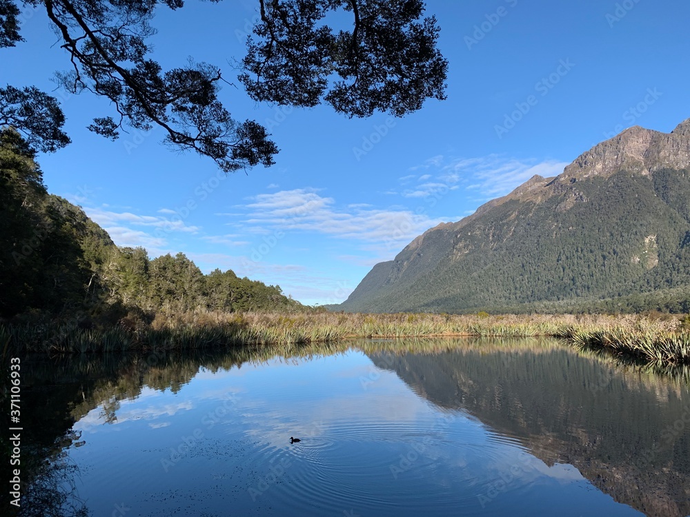 nature NZ