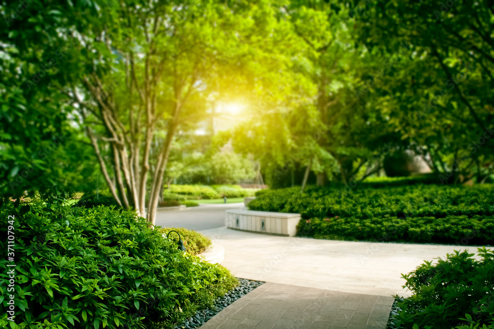 Fototapeta premium The warm yellow sun shines on the public green plants in the community