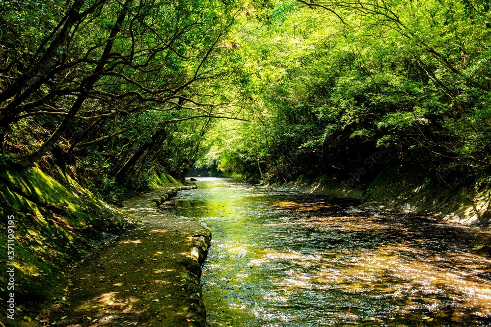 Obraz premium 岳切渓谷