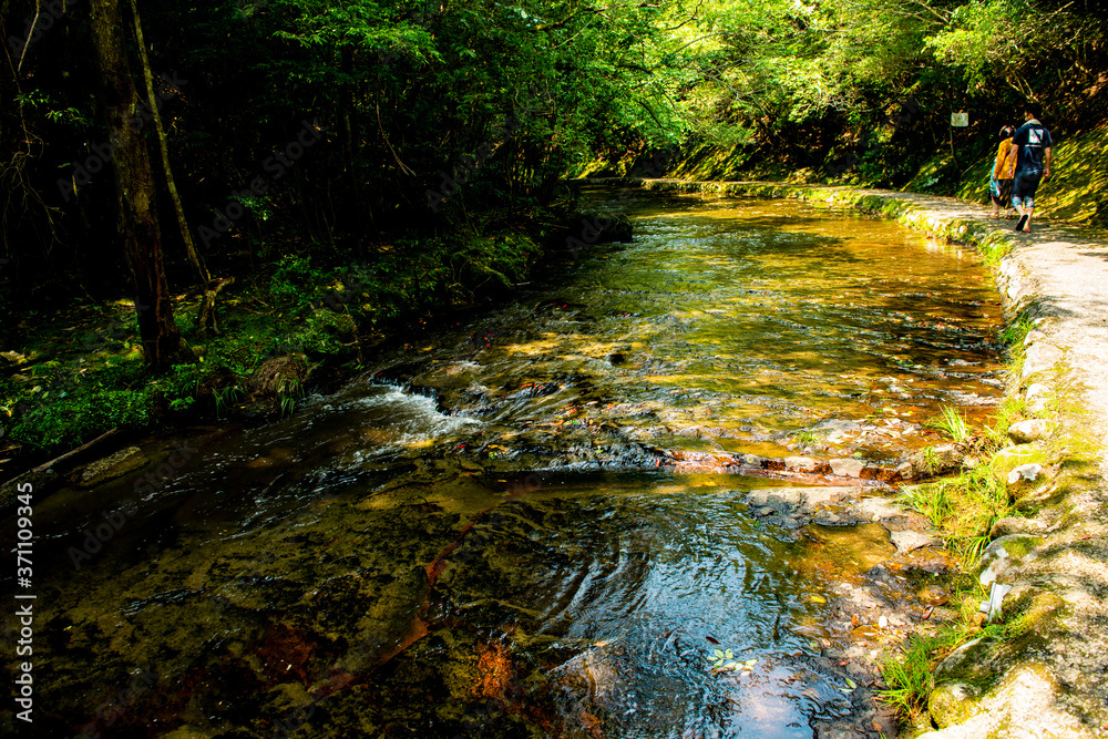 Obraz premium 岳切渓谷