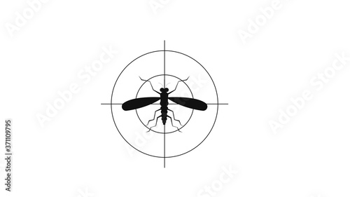 Insect. a realistic mosquito. Mosquito silhouette. Mosquito isolated on white background