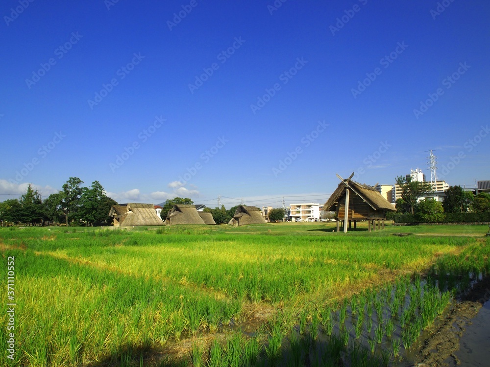 <登呂遺跡>竪穴式住居と高床式倉庫 <登呂遺跡>竪穴式住居と高床式倉庫