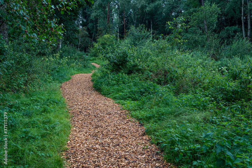 Obraz premium Nature reserve Wilhelmsdorf Pfrunger Ried in Upper Swabia
