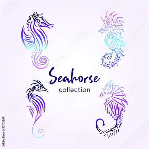 seahorse collection with lineart and gradient color