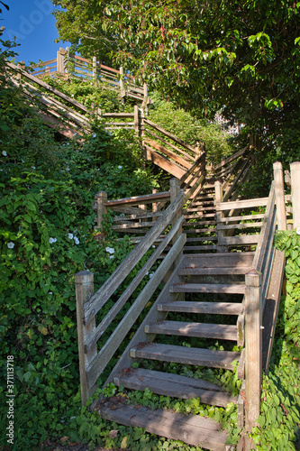  2020-08-12 A SET OF WOODEN STAIRS BEING OVERTAKEN BY FOLIAGE