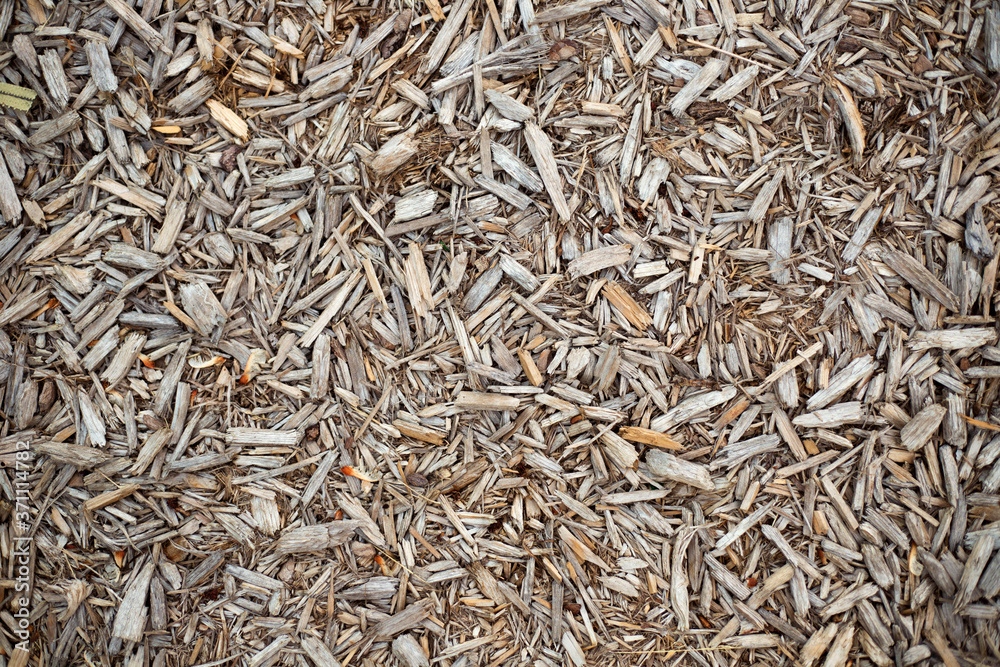 Brown wooden chips for texture background Brown wooden chips for texture background