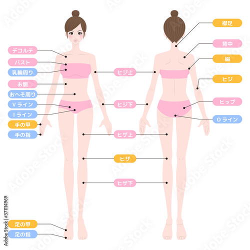 脱毛箇所　全身　女性　インナー着用