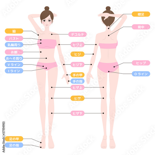 脱毛箇所　全身　女性　インナー着用
