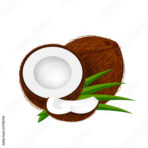 coconut half slice on leaf green, coconut brown fruit half cut isolated on white, illustration coconut half slice for clip art, coconut freshness fruit simple for icon