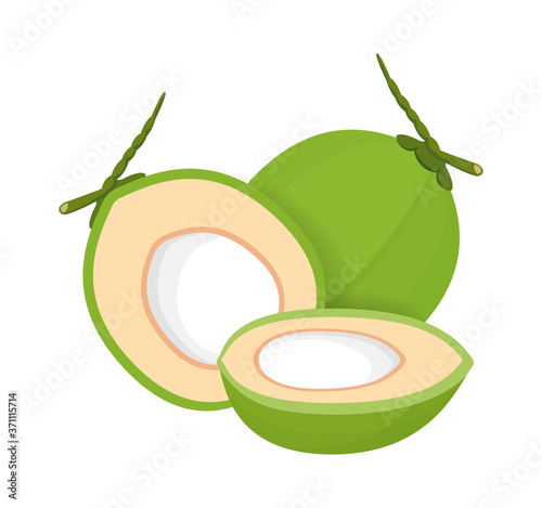 coconut fresh young isolated on white background, illustration coconut half sliced for healthy food menu fruit juice, coconut summer fruit concept, green coconut for clip art simple