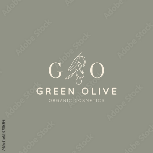 Olive branch with leaves and fruit logo design template in simple minimal linear style. Abstract Feminine Vector Badge