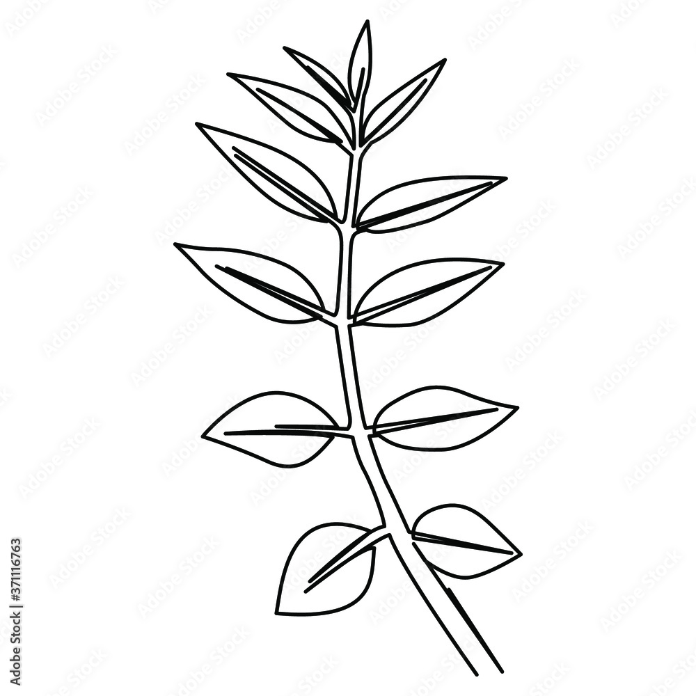 Fototapeta premium one line continuous drawing leaves and branches