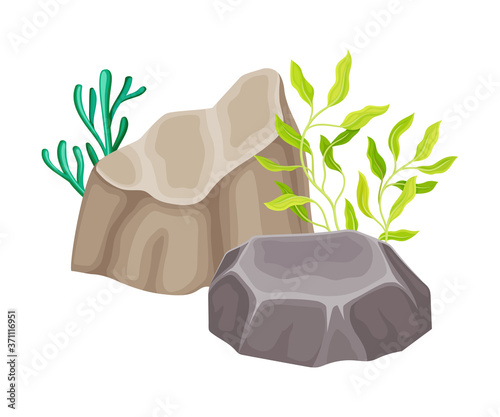 Angulated Sea Stone or Subsurface Rock with Seaweeds and Algae Vector Composition