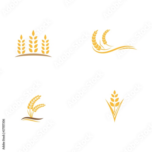 Set Agriculture wheat vector