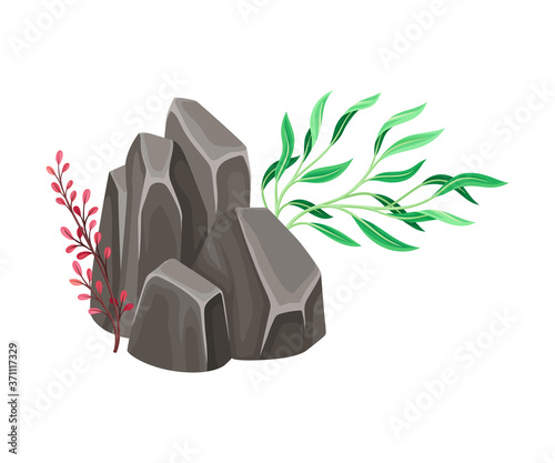 Angulated Sea Stone or Subsurface Rock with Seaweeds and Algae Vector Composition