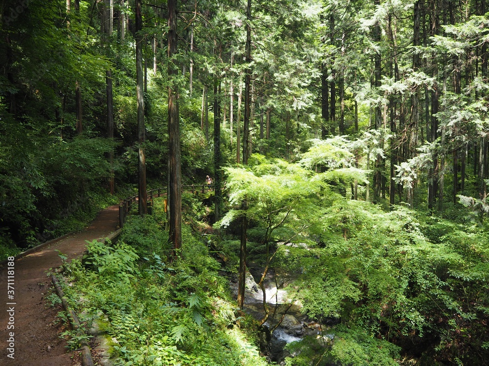 Hossawa Falls in tokyo, JAPAN Hossawa Falls in tokyo, JAPAN