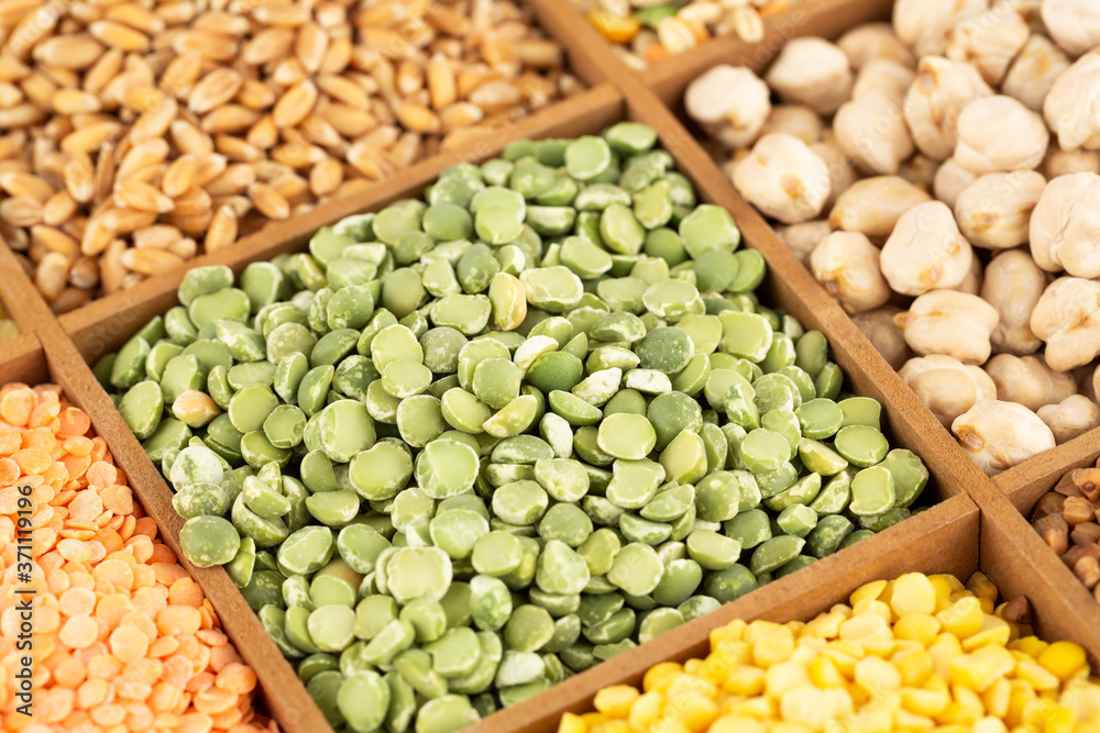 Collection of cereals and beans Collection of cereals and beans