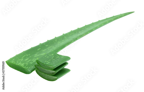 Aloe vera slice on white background.