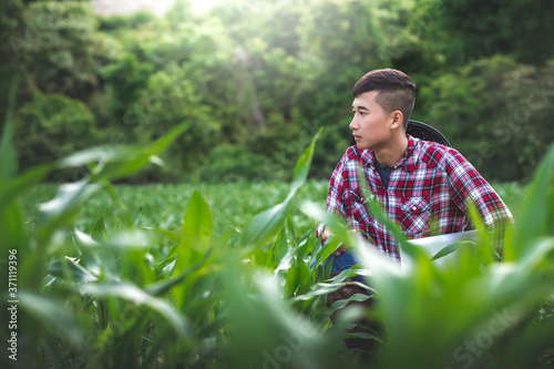 Young handsome farmer sitting in his corn field. Agribusiness and innovation concept