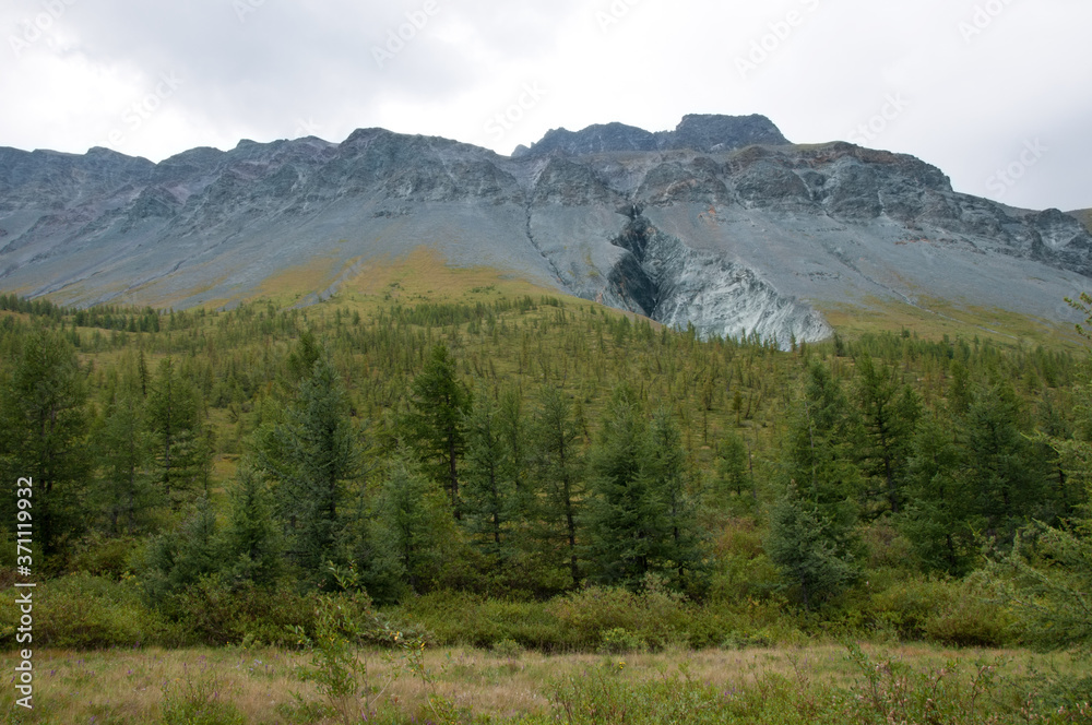 Picturesque view of Altai wilderness in the Yarlu valley on a rainy day, the Altai Republic, Russia