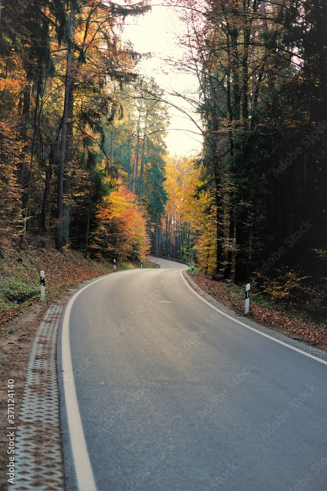 Autumn Road.Autumn landscape.Autumn travel and trips. Fall season. autumn nature wallpaper	