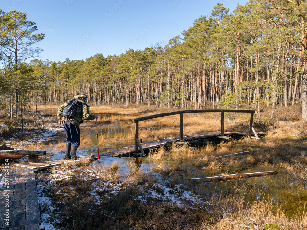  a human figure on a wooden pedestrian footbridge in a swamp, traditional swamp vegetation background