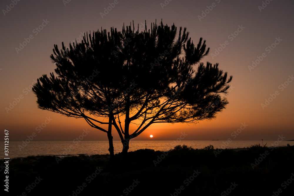 Fototapeta premium Sunset at La Barrosa beach in Sancti Petri, Cadiz, Spain