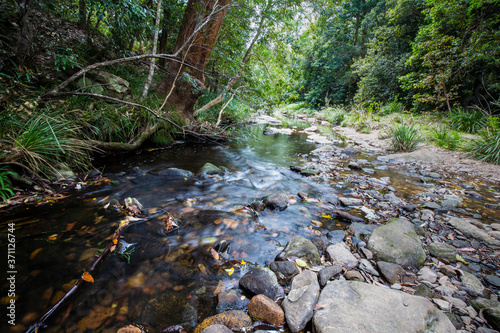 Photography Stream in outdoor forest