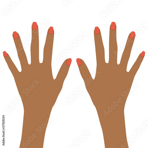 Hands of a Latin American woman with a manicure. Light skin. Putting away the belonging. Vector illustration isolated on a white background for design and web.