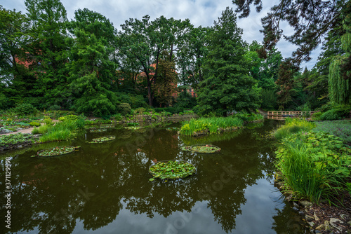 Fototapeta Naklejka Na Ścianę i Meble -  Wroclaw, Poland August 5, 2020; The Botanical Garden of the University of Wrocław.