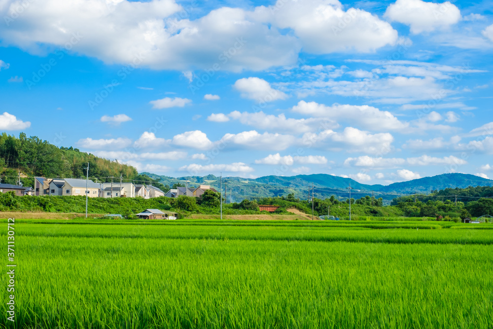 田舎の田園風景 京都府木津川市 田舎の田園風景 京都府木津川市
