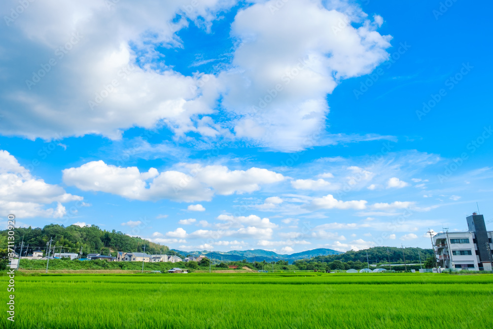 田舎の田園風景 京都府木津川市 田舎の田園風景 京都府木津川市