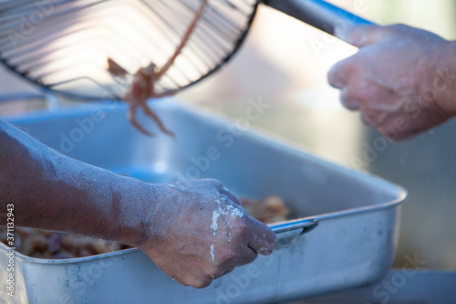 Preparazione gamberetti fritti 