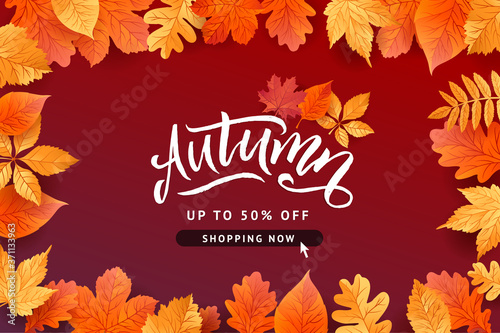 Autumn Fall Season Sale Banner. Colorful fall leaves and advertising discount text. Vector background design.