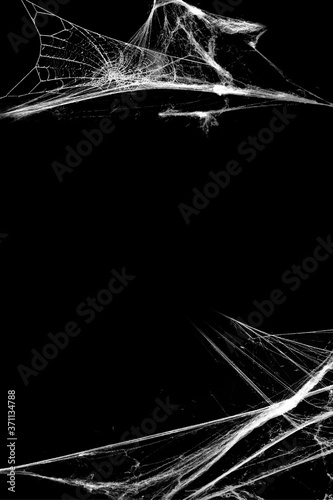 Spiderwebs isolated on black grunge background. Cobweb.  Halloween party holiday design